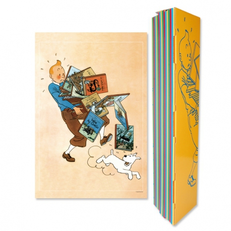 Poster Tintin e os albuns (60x40cm)
