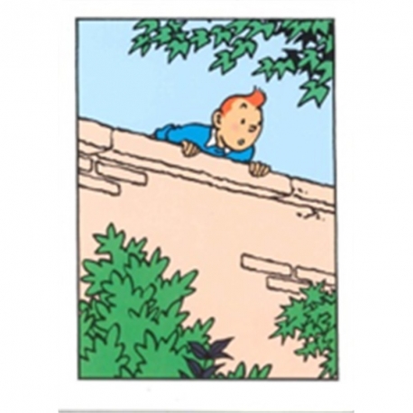 Postal duplo Tintin sobre o muro