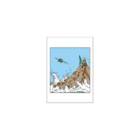 Postal duplo Tintin ilhota e avião