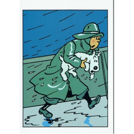 Tintin postcard rain