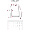 Sweatshirt TINTIN Rocket anthracite