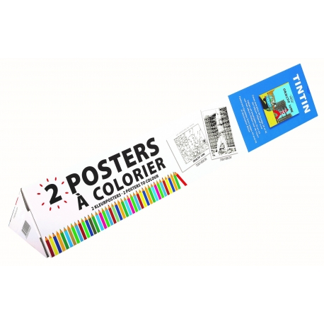 Posters para colorir - Objectivo Lua (2x)