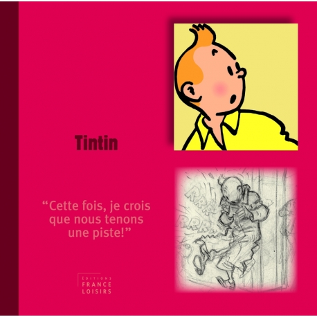 Livre personnage Tintin