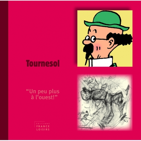 Livre personnage Tournesol