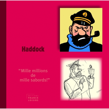Livre personnage Haddock