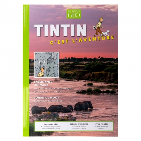 GEO TINTIN C'EST L'AVENTURE N°11