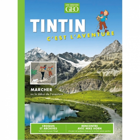 GEO TINTIN C'EST L'AVENTURE N°15