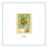 LE POISSON - lithographie