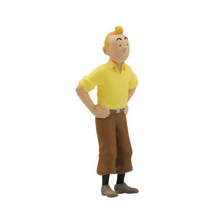 Figura 7 - Tintin Pé de Caranguejo